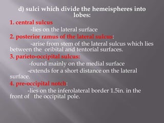 d) sulci which divide the hemeispheres into
lobes:
1. central sulcus
-lies on the lateral surface
2. posterior ramus of the lateral sulcus:
-arise from stem of the lateral sulcus which lies
between the oribital and tentorial surfaces.
3. parieto-occipital sulcus:
-found mainly on the medial surface
-extends for a short distance on the lateral
surface.
4. pre-occipital notch:
-lies on the inferolateral border 1.5in. in the
front of the occipital pole.

 