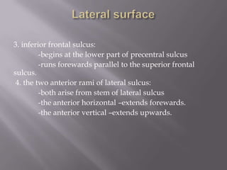 3. inferior frontal sulcus:
-begins at the lower part of precentral sulcus
-runs forewards parallel to the superior frontal
sulcus.
4. the two anterior rami of lateral sulcus:
-both arise from stem of lateral sulcus
-the anterior horizontal –extends forewards.
-the anterior vertical –extends upwards.

 