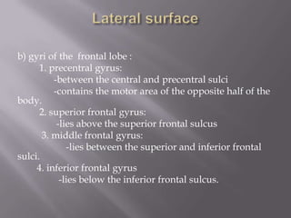 b) gyri of the frontal lobe :
1. precentral gyrus:
-between the central and precentral sulci
-contains the motor area of the opposite half of the
body.
2. superior frontal gyrus:
-lies above the superior frontal sulcus
3. middle frontal gyrus:
-lies between the superior and inferior frontal
sulci.
4. inferior frontal gyrus
-lies below the inferior frontal sulcus.

 