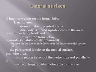 c) important areas on the frontal lobe:
1. motor area:
-found in the precentral gyrus
-the body is turned upside down in the areahead,upper limb, trunk,and
lower limb from below
upwards(somatotopicaaly organized).

the area for the lower limb flows over the superiomedial border
into

the paracentral lobule on the medial surface.
premotor area:
-is the region infront of the motor area and parallel to
it.
-is the extrapyramidal motor area for the eye.

 