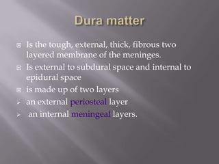 







Is the tough, external, thick, fibrous two
layered membrane of the meninges.
Is external to subdural space and internal to
epidural space
is made up of two layers
an external periosteal layer
an internal meningeal layers.

 