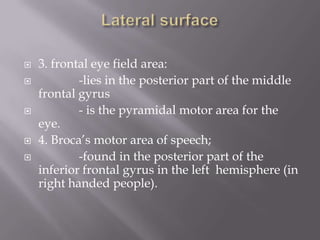 







3. frontal eye field area:
-lies in the posterior part of the middle
frontal gyrus
- is the pyramidal motor area for the
eye.
4. Broca’s motor area of speech;
-found in the posterior part of the
inferior frontal gyrus in the left hemisphere (in
right handed people).

 