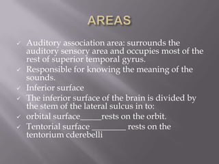 







Auditory association area: surrounds the
auditory sensory area and occupies most of the
rest of superior temporal gyrus.
Responsible for knowing the meaning of the
sounds.
Inferior surface
The inferior surface of the brain is divided by
the stem of the lateral sulcus in to:
orbital surface_____rests on the orbit.
Tentorial surface ________ rests on the
tentorium cderebelli

 