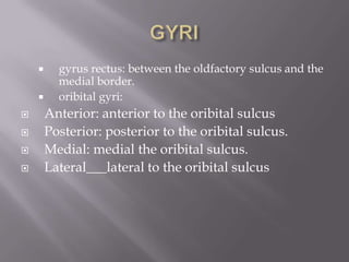 







gyrus rectus: between the oldfactory sulcus and the
medial border.
oribital gyri:

Anterior: anterior to the oribital sulcus
Posterior: posterior to the oribital sulcus.
Medial: medial the oribital sulcus.
Lateral___lateral to the oribital sulcus

 
