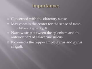 


Concerned with the olfactory sense.
May contain the center for the sense of taste.
 Isthmus of gyrus cinguli:





Narrow strip between the splenium and the
anterior part of calacarine sulcus.
It connects the hippocample gyrus and gyrus
cinguli.

 