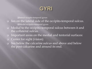 lateral occipito-temporal gyrus:


lies on the lateral side of the occipito-temporal sulcus.
Miedal occipitio-temporal gyrus








Medial to the occipito-temporal sulcus between it and
the collateral sulcus.
Important areas on the medial and tentorial surfaces:
Center for sight (vision)
lies below the calcarine sulcus and above and below
the post-calcarine and around its end.

 