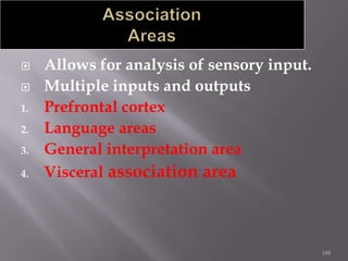 

1.
2.
3.
4.

Allows for analysis of sensory input.
Multiple inputs and outputs
Prefrontal cortex
Language areas
General interpretation area
Visceral association area

188

 