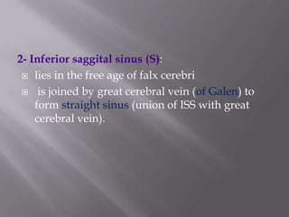 2- Inferior saggital sinus (S):
 lies in the free age of falx cerebri
 is joined by great cerebral vein (of Galen) to
form straight sinus (union of ISS with great
cerebral vein).

 