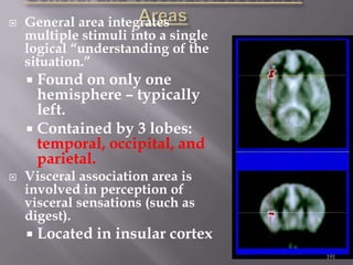 

General area integrates
multiple stimuli into a single
logical “understanding of the
situation.”

Found on only one
hemisphere – typically
left.
 Contained by 3 lobes:
temporal, occipital, and
parietal.




Visceral association area is
involved in perception of
visceral sensations (such as
digest).


Located in insular cortex
191

 