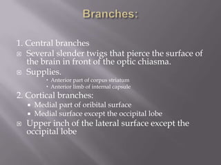 1. Central branches
 Several slender twigs that pierce the surface of
the brain in front of the optic chiasma.
 Supplies.
 Anterior part of corpus striatum
 Anterior limb of internal capsule

2. Cortical branches:




Medial part of oribital surface
Medial surface except the occipital lobe

Upper inch of the lateral surface except the
occipital lobe

 