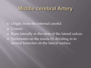 




Origin: from the internal carotid
Course:
Runs laterally in the stem of the lateral sulcus.
Terminates on the insula by dividing in to
several branches on the lateral surface.

 