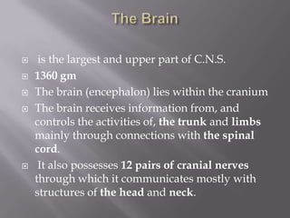 






is the largest and upper part of C.N.S.
1360 gm
The brain (encephalon) lies within the cranium
The brain receives information from, and
controls the activities of, the trunk and limbs
mainly through connections with the spinal
cord.
It also possesses 12 pairs of cranial nerves
through which it communicates mostly with
structures of the head and neck.

 