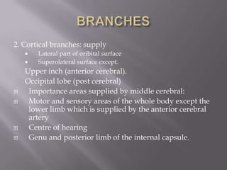 2. Cortical branches: supply










Lateral part of oribital surface
Superolateral surface except.

Upper inch (anterior cerebral).
Occipital lobe (post cerebral)
Importance areas supplied by middle cerebral:
Motor and sensory areas of the whole body except the
lower limb which is supplied by the anterior cerebral
artery
Centre of hearing
Genu and posterior limb of the internal capsule.

 