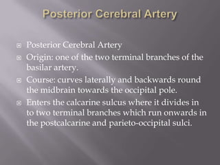 






Posterior Cerebral Artery
Origin: one of the two terminal branches of the
basilar artery.
Course: curves laterally and backwards round
the midbrain towards the occipital pole.
Enters the calcarine sulcus where it divides in
to two terminal branches which run onwards in
the postcalcarine and parieto-occipital sulci.

 