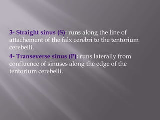 3- Straight sinus (S): runs along the line of
attachement of the falx cerebri to the tentorium
cerebelli.
4- Transeverse sinus (P): runs laterally from
confluence of sinuses along the edge of the
tentorium cerebelli.

 