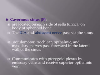 6- Cavernous sinus (P):
 are located on each side of sella turcica, on
body of sphenoid bone.
 The ICA and abducent nerve pass via the sinus




occulomotor, trochlear, opthalmic, and
maxillary nerves pass foreward in the lateral
wall of the sinus.
Communicates with pterygoid plexus by
emissary veins and receive superior opthalmic
vein.

 