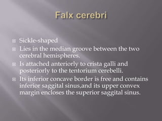 






Sickle-shaped
Lies in the median groove between the two
cerebral hemispheres.
Is attached anteriorly to crista galli and
posteriorly to the tentorium cerebelli.
Its inferior concave border is free and contains
inferior saggital sinus,and its upper convex
margin encloses the superior saggital sinus.

 