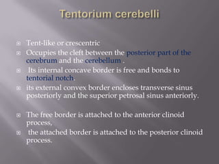 










Tent-like or crescentric
Occupies the cleft between the posterior part of the
cerebrum and the cerebellum .
Its internal concave border is free and bonds to
tentorial notch.
its external convex border encloses transverse sinus
posteriorly and the superior petrosal sinus anteriorly.
The free border is attached to the anterior clinoid
process,
the attached border is attached to the posterior clinoid
process.

 