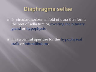 



Is circular, horizontal fold of dura that forms
the roof of sella turcica,covering the pitutary
gland or hypophysis.
Has a central aperture for the hypophyseal
stalk or infundibulum.

 