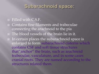 





Filled with C.S.F.
Contains fine filaments and trabeculae
connecting the arachnoid to the pia
The blood vessels of the brain lie in it.
In certain places the subarachnoid space is
enlarged to form subarachnoid cisterns which
contains CSF and soft tissue structures
that‖anchor‖ the brain, such as arachnoid
trabeculae, vasculature, and in some cases
cranial roots. They are named according to the
structures related them.

 
