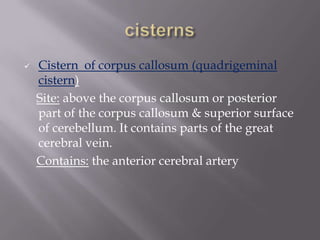 

Cistern of corpus callosum (quadrigeminal
cistern)
Site: above the corpus callosum or posterior
part of the corpus callosum & superior surface
of cerebellum. It contains parts of the great
cerebral vein.
Contains: the anterior cerebral artery

 
