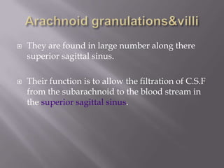 



They are found in large number along there
superior sagittal sinus.
Their function is to allow the filtration of C.S.F
from the subarachnoid to the blood stream in
the superior sagittal sinus.

 