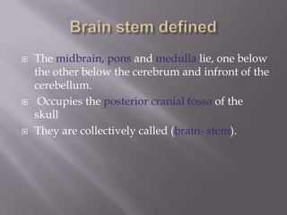 





The midbrain, pons and medulla lie, one below
the other below the cerebrum and infront of the
cerebellum.
Occupies the posterior cranial fossa of the
skull
They are collectively called (brain- stem).

 