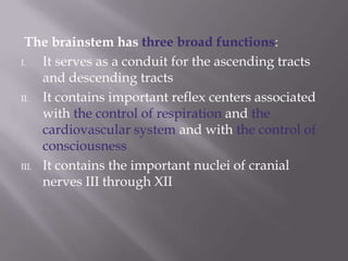 The brainstem has three broad functions:
I.
It serves as a conduit for the ascending tracts
and descending tracts
II.
It contains important reflex centers associated
with the control of respiration and the
cardiovascular system and with the control of
consciousness
III. It contains the important nuclei of cranial
nerves III through XII

 