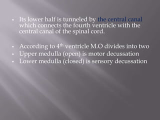 





Its lower half is tunneled by the central canal
which connects the fourth ventricle with the
central canal of the spinal cord.
According to 4th ventricle M.O divides into two
Upper medulla (open) is motor decussation
Lower medulla (closed) is sensory decussation

 