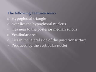 The following Features seen: Hypoglossal triangle over lies the hypoglossal nucleus
 lies near to the posterior median sulcus
 Vestibular area Lies in the lateral side of the posterior surface
 Produced by the vestibular nuclei

 