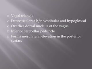 






Vagal triangleDepressed area b/n vestibular and hypoglossal
Overlies dorsal nucleus of the vagus
Inferior cerebellar peduncle
Forms most lateral elevation in the posterior
surface

 
