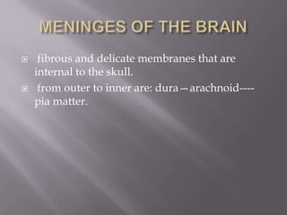 



fibrous and delicate membranes that are
internal to the skull.
from outer to inner are: dura—arachnoid---pia matter.

 