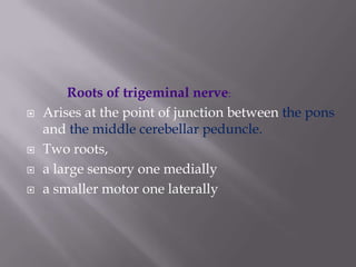 





Roots of trigeminal nerve:
Arises at the point of junction between the pons
and the middle cerebellar peduncle.
Two roots,
a large sensory one medially
a smaller motor one laterally

 