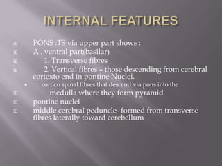 PONS :TS via upper part shows :
A . ventral part(basilar)
1. Transverse fibres
2. Vertical fibres – those descending from cerebral
cortexto end in pontine Nuclei.











cortico spinal fibres that descend via pons into the

medulla where they form pyramid
pontine nuclei
middle cerebral peduncle- formed from transverse
fibres laterally toward cerebellum

 