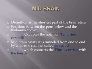 





Definition: is the shortest part of the brain stem
Position: between the pons below and the
thalamus above
Occupies the notch of Tentorium
cerebelli
Mid brain cavity:it is tunneled from end to end
by a narrow channel called aqueduct
which connects the Third ventricle with
the fourth

 