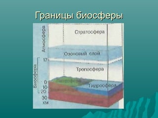 Границы биосферы

 