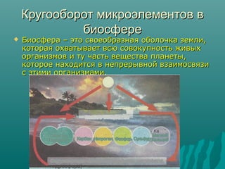 Кругооборот микроэлементов в
биосфере


Биосфера – это своеобразная оболочка земли,
которая охватывает всю совокупность живых
организмов и ту часть вещества планеты,
которое находится в непрерывной взаимосвязи
с этими организмами.

 