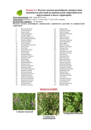 Задание 1.1. Изучить видовое разнообразие дикорастущих
травянистых растений на пришкольной территории (или
прилегающей к школе территории)
Дата выполнения: май - июнь 2013 года
Участники:учащиеся 2 «А»,5 - 6 «А» и «Б», 7 «А» и «Б» классов
Количество учащихся – 72 человека
Изучали видовое разнообразие дикорастущих травянистых растений на пришкольной
территории:
1.
2.
3.
4.
5.
6.
7.
8.
9.
10.
11.
12.
13.
14.
15.
16.
17.
18.
19.
20.
21.
22.
23.
24.
25.
26.
27.
28.
29.
30.
31.
32.
33.
34.
35.
36.

Машнюк Дмитрий
Тусиков Кирилл
Кашель Анна
Сайковский Денис
Лысенок Юрий
Жуковская Виолетта
Колтыженкова Надежда
Абрамчик Мария
Дулинец Карина
Лялеко Даниил
Бессекерская Анастасия
Кожух Павел
Буко Павел
Гридюшко Ульяна
Мяделец Илья
Толкач Павел
Федоров Максим
Хмельник Елизавета
Рубацкий Антон
Качан Дарья
Шудель Диана
Буравский Максим
Валявко Антон
Ясинская Анжелика
Васюкович Иван
Латышенок Владислав
Ефимова Снежана
Козловская Диана
Михненок Анастасия
Торбецкий Богдан
Харитович Дмитрий
Ясюкевич Владислав
Римденок Анастасия
Маркевич Евгений
Бондарь Никита
Волощук Ангелина

37.
38.
39.
40.
41.
42.
43.
44.
45.
46.
47.
48.
49.
50.
51.
52.
53.
54.
55.
56.
57.
58.
59.
60.
61.
62.
63.
64.
65.
66.
67.
68.
69.
70.
71.
72.

Вырвич Илья
Лукьяненок Диана
Гуйдо Снежана
Красникова Надежда
Рудак Яна
Мартьянов Илья
Медюхо Данила
Алещенко Анастасия
Зонова Маргарита
Буйко Дарья
Поляк Светлана
Правдин Александр
Липская Анна
БукоДаниэлла
Лукашевич Евгений
Пачковская Татьяна
Буко Никита
Абрамчик Ольга
Бохан Виталий
Василевская Анна
Войтехович Юлия
Бурчиц Александр
Скибицкий Виктор
Моисеева Екатерина
Андреева Елизавета
Кондратенко Дмитрий
Рачицкая Полина
Жукова Юлия
Лебедева Наталья
Седюкевич Евгений
Трус Ольга
Гуляшко Елизавета
Симанович Сергей
Колтакова Яна
Исакович Валентина
Иванцов Павел

ВИДЫ РАСТЕНИЙ:

1-горошек мышиный
3-подорожник большой
2-подорожник
ланцетовидный

 