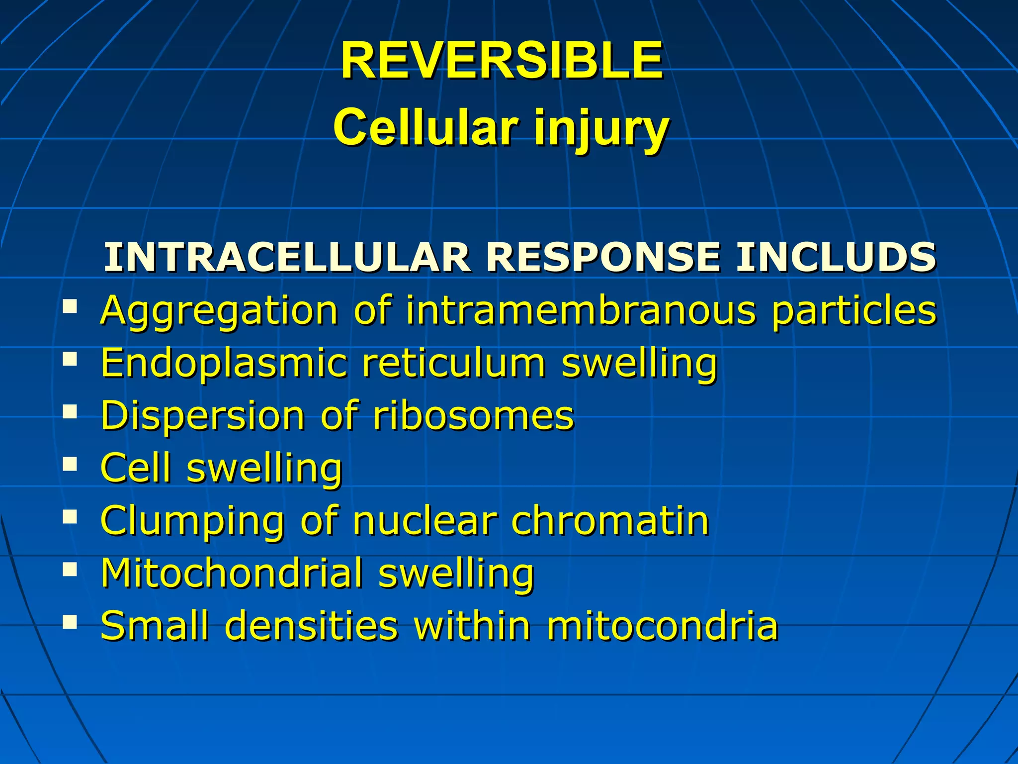 REVERSIBLE
Cellular injury









INTRACELLULAR RESPONSE INCLUDS
Aggregation of intramembranous particles
Endoplasmic reticulum swelling
Dispersion of ribosomes
Cell swelling
Clumping of nuclear chromatin
Mitochondrial swelling
Small densities within mitocondria

 