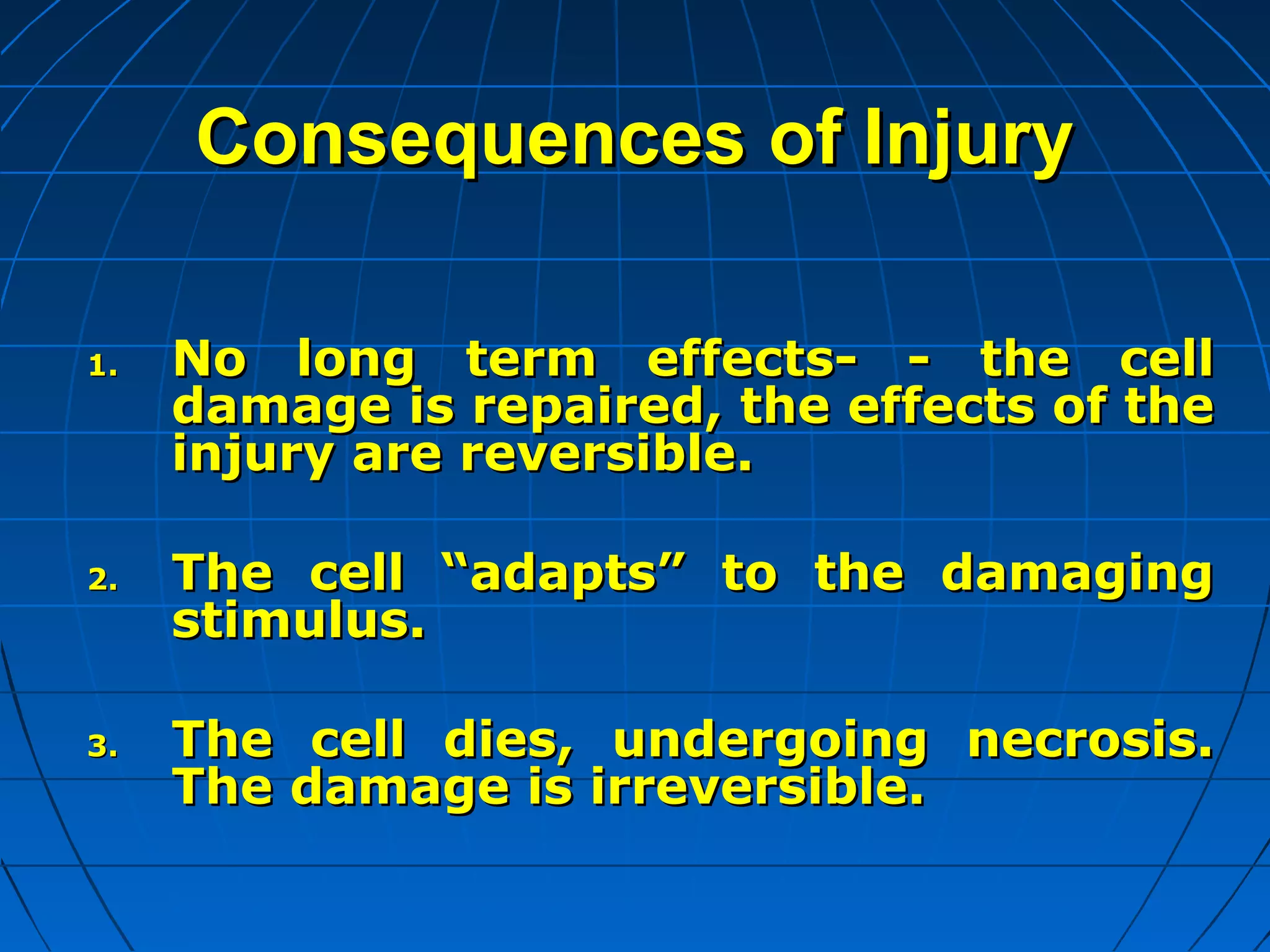 Consequences of Injury
1.

2.

3.

No long term effects- - the cell
damage is repaired, the effects of the
injury are reversible.
The cell “adapts” to the damaging
stimulus.
The cell dies, undergoing necrosis.
The damage is irreversible.

 