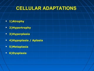 CELLULAR ADAPTATIONS


1)Atrophy



2)Hypertrophy



3)Hyperplasia



4)Hypoplasia / Aplasia



5)Metaplasia



6)Dysplasia

 