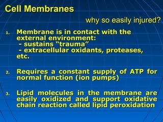 Cell Membranes
why so easily injured?
1.

2.

3.

Membrane is in contact with the
external environment:
- sustains “trauma”
- extracellular oxidants, proteases,
etc.
Requires a constant supply of ATP for
normal function (ion pumps)
Lipid molecules in the membrane are
easily oxidized and support oxidative
chain reaction called lipid peroxidation

 