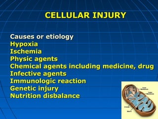 CELLULAR INJURY
Causes or etiology
Hypoxia
Ischemia
Physic agents
Chemical agents including medicine, drug
Infective agents
Immunologic reaction
Genetic injury
Nutrition disbalance

 