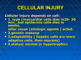 CELLULAR INJURY
Cellular injury depends on cell:
 1. type (myocardial cells dies in20- 30
min. ,but epidermis cells dies in
weeks,
after cause (etiologic agents ) acted.
 2.genetic makeup
 3.adaptability ( hepatic cells are more
adaptive cells, then neurons)
 4.status( normal or hypertrophic)

 