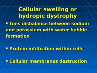 Cellular swelling or
hydropic dystrophy
Ions disbalance between sodium
and potassium with water bubble
formation




Protein infiltration within cells



Cellular membranes destruction

 