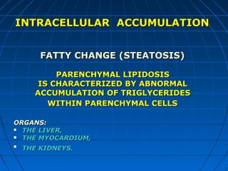 INTRACELLULAR ACCUMULATION
FATTY CHANGE (STEATOSIS)
PARENCHYMAL LIPIDOSIS
IS CHARACTERIZED BY ABNORMAL
ACCUMULATION OF TRIGLYCERIDES
WITHIN PARENCHYMAL CELLS
ORGANS:
 THE LIVER,
 THE MYOCARDIUM,


THE KIDNEYS.

 