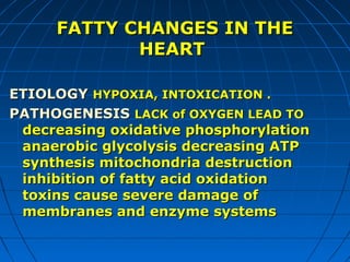 FATTY CHANGES IN THE
HEART
ETIOLOGY HYPOXIA, INTOXICATION .
PATHOGENESIS LACK of OXYGEN LEAD TO
decreasing oxidative phosphorylation
anaerobic glycolysis decreasing ATP
synthesis mitochondria destruction
inhibition of fatty acid oxidation
toxins cause severe damage of
membranes and enzyme systems

 