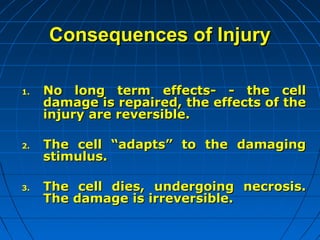 Consequences of Injury
1.

2.

3.

No long term effects- - the cell
damage is repaired, the effects of the
injury are reversible.
The cell “adapts” to the damaging
stimulus.
The cell dies, undergoing necrosis.
The damage is irreversible.

 