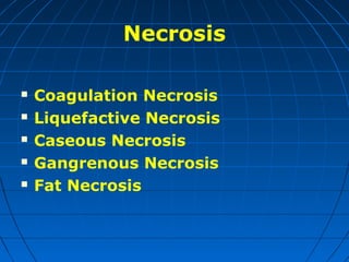 Necrosis






Coagulation Necrosis
Liquefactive Necrosis
Caseous Necrosis
Gangrenous Necrosis
Fat Necrosis

 