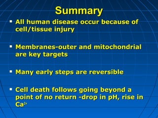 Summary








All human disease occur because of
cell/tissue injury
Membranes-outer and mitochondrial
are key targets
Many early steps are reversible
Cell death follows going beyond a
point of no return -drop in pH, rise in
Ca2+

 